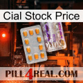 Cial Stock Price new12